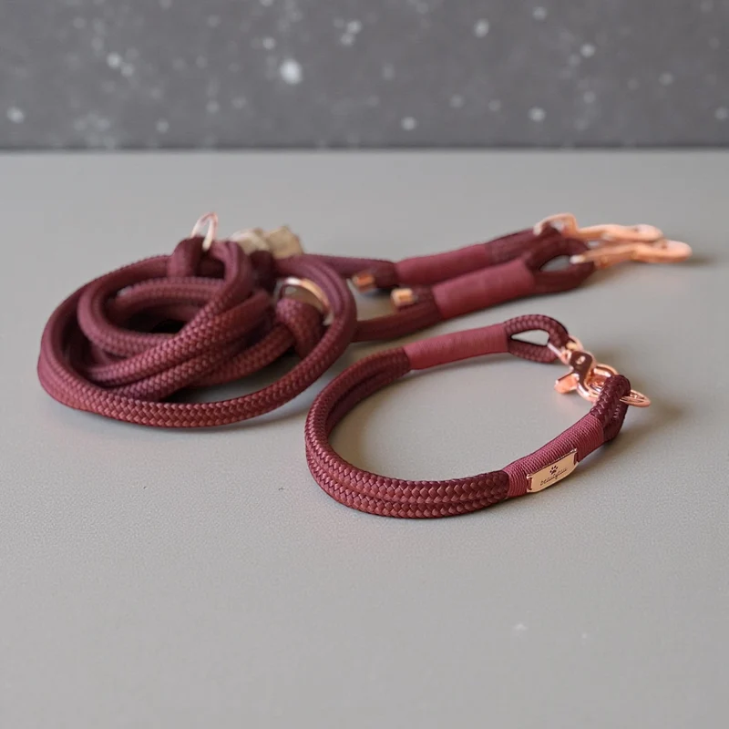 Tau Hundehalsband & Leine – individuell
