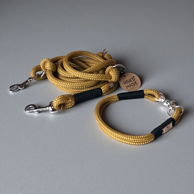 Tau Hundehalsband & Leine – individuell