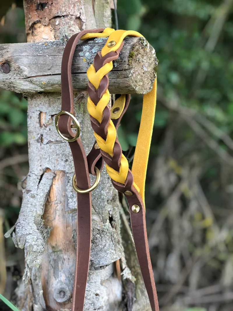 Retrieverleine aus Fettleder – Hundeleine zweifarbig geflochten