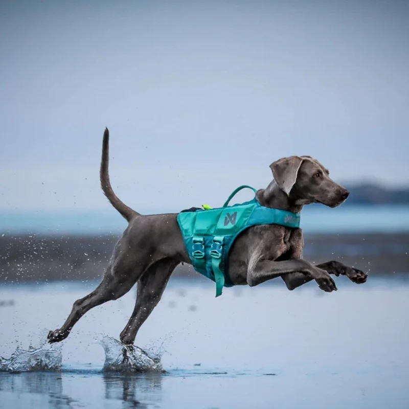 Hundeschwimmweste Protector Life Jacket Teal
