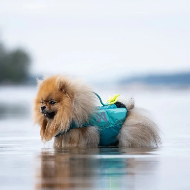Hundeschwimmweste Protector Life Jacket Teal