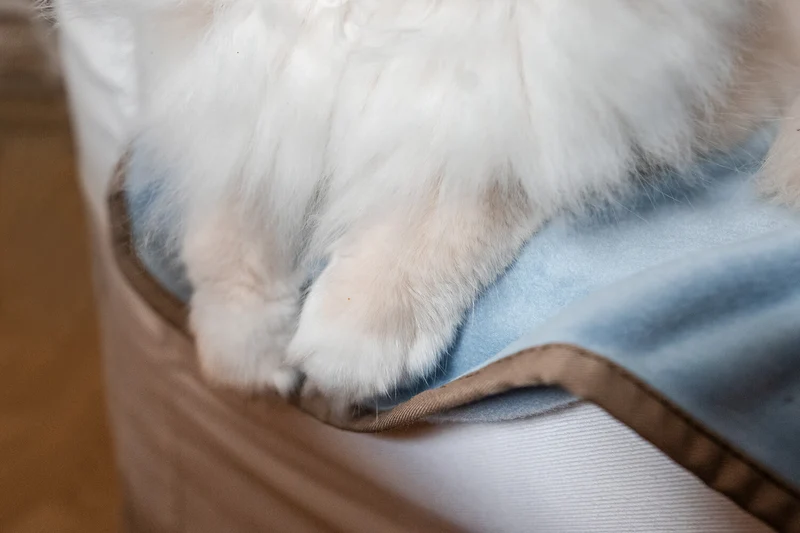 Hundedecke Schmusefleece HELLBLAU, 100×140 cm