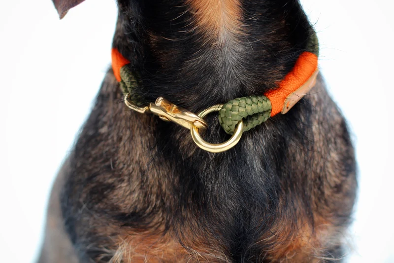 Festes Halsband Olive Grove NEONORANGE