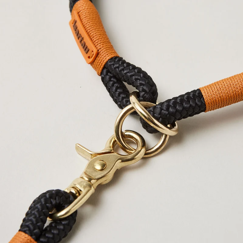 Zugstopp-Halsband Black Mamba ROST-ORANGE