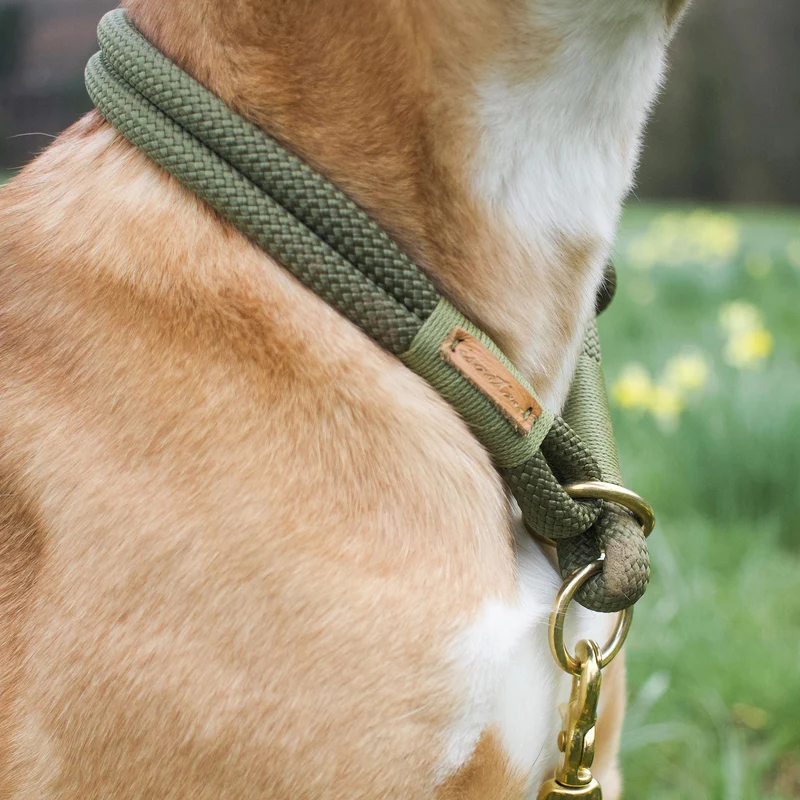 Zugstopp-Halsband Olive Grove MOOS