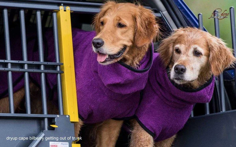 DRYUP CAPE® Hundebademantel Lila