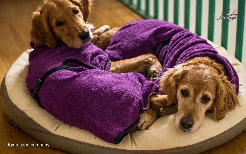 DRYUP CAPE® Hundebademantel Lila