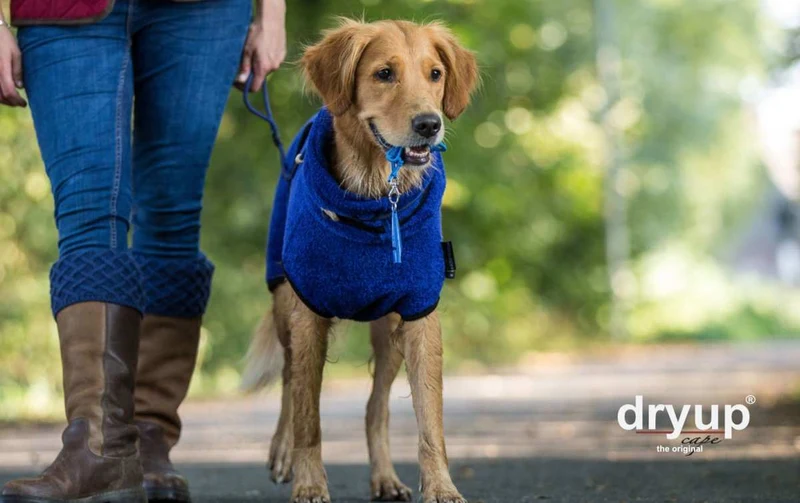 DRYUP CAPE® Hundebademantel Blau