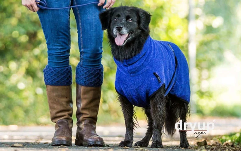 DRYUP CAPE® Hundebademantel Blau