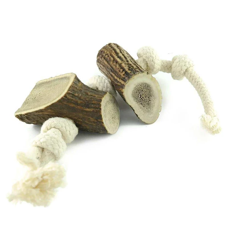 Geweih-Snack mit 2 Hornstücken