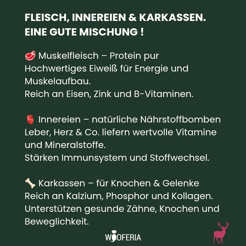 Hirsch Trainies