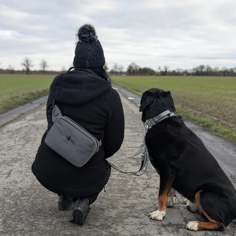 Multifunktionale Gassitasche - 2 in 1 Bauchtasche & Schultertasche Grey