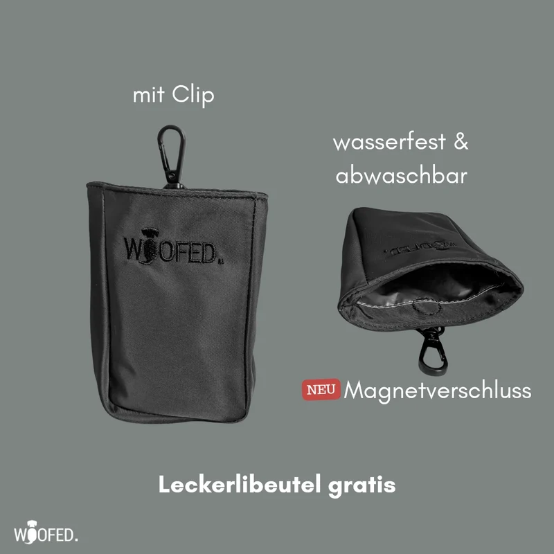 Multifunktionale Gassitasche - 2 in 1 Bauchtasche & Schultertasche Grey