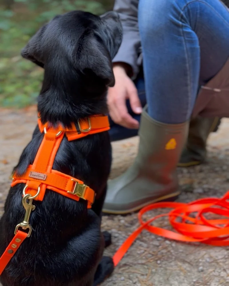 Hundegeschirr Softie NEONORANGE