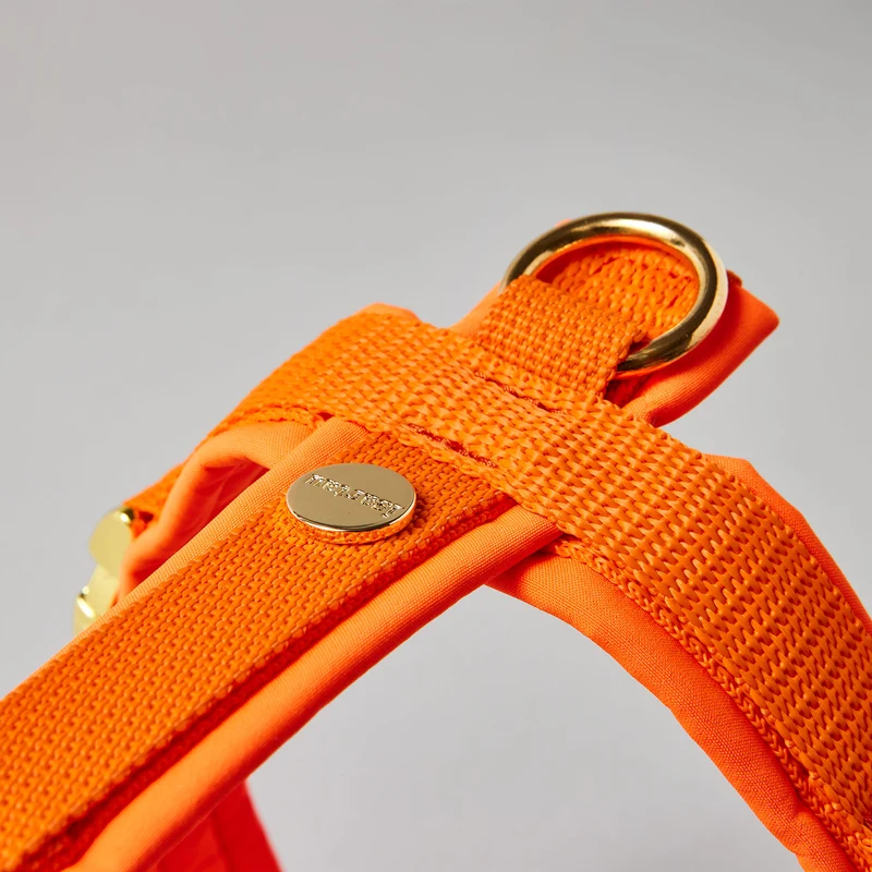 Hundegeschirr Softie NEONORANGE