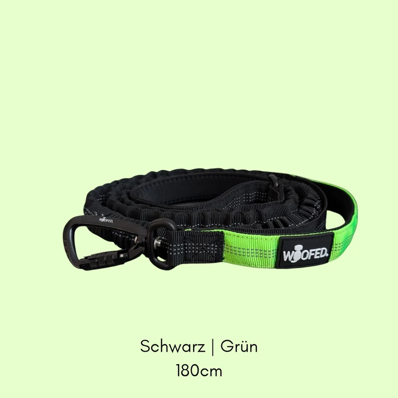 Jogging- & Wanderleine mit Handschlaufe, Bungee-Ruckdämpfer & Sicherheitskarabiner aus Nylon