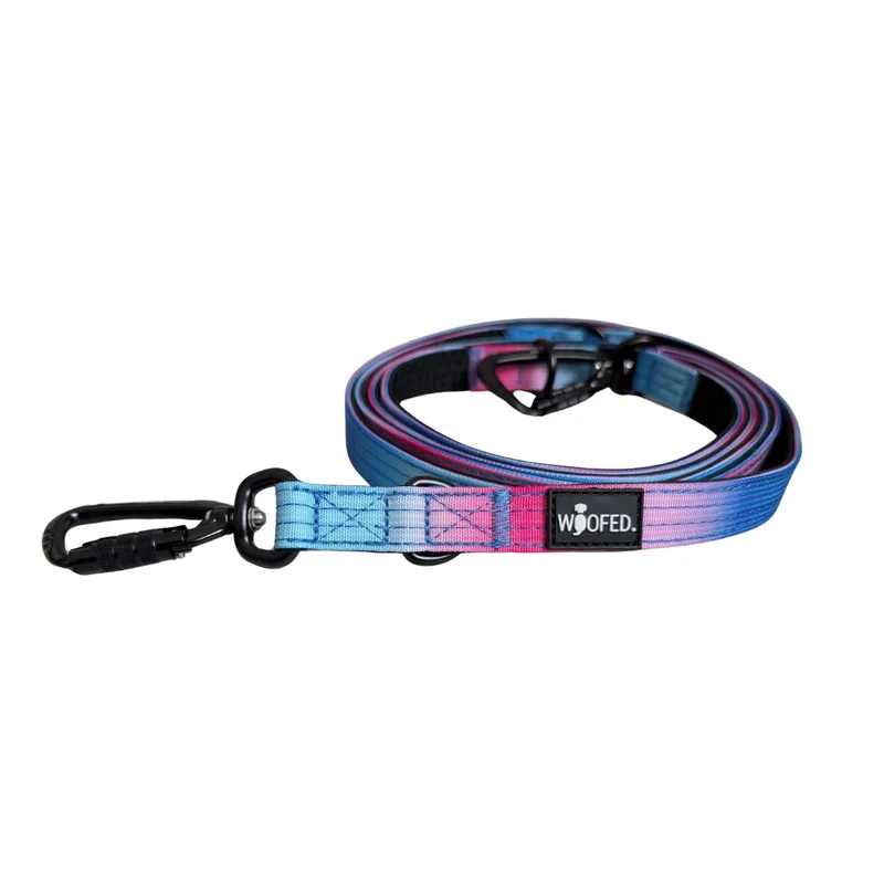 Nylon Pro Führleine Pink Blue Sky