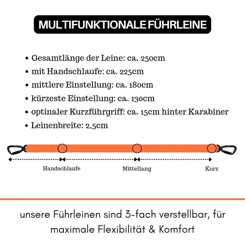 Nylon Pro Führleine Safety Orange