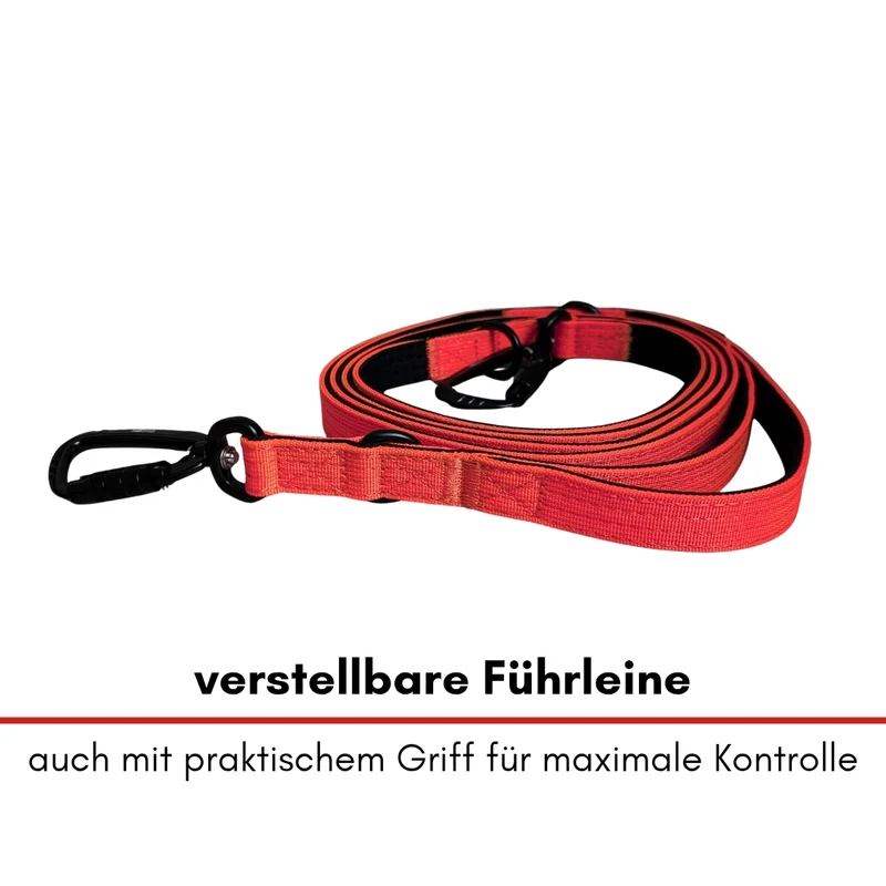 Nylon Pro Führleine Rosso Red