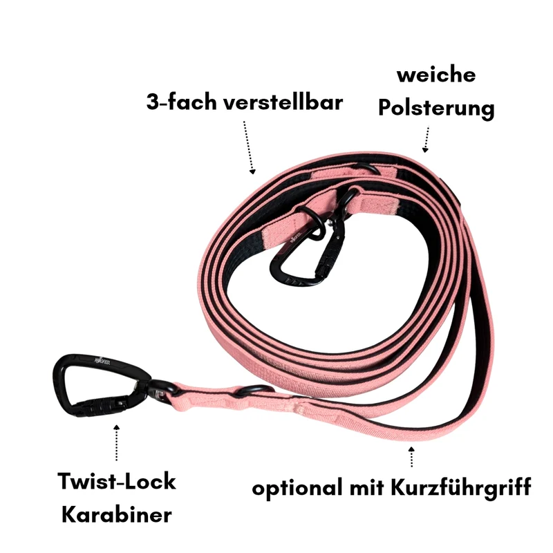 Nylon Pro Führleine Dusty Rose