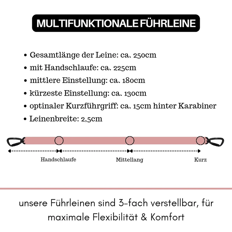 Nylon Pro Führleine Dusty Rose