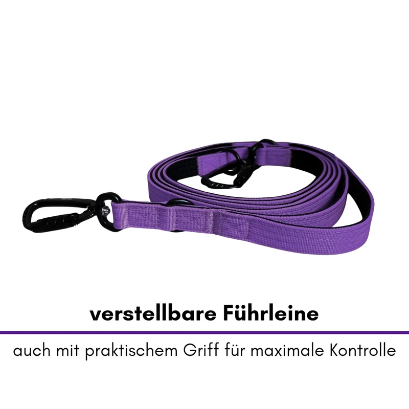 Nylon Pro Führleine Velvet Purple