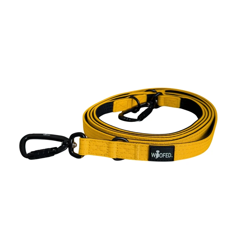 Nylon Pro Führleine Sunset Yellow