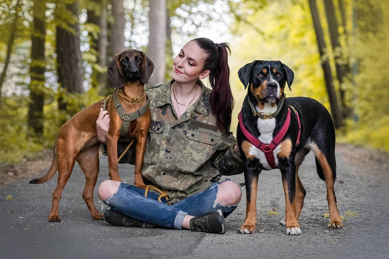 Hundegeschirr Softie BURGUNDER