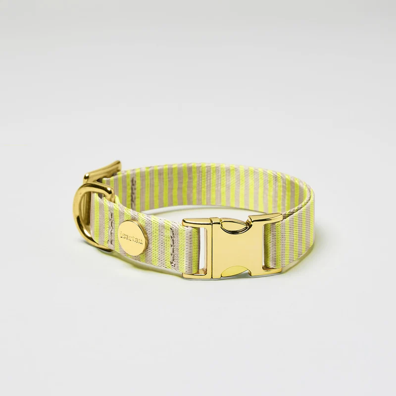 Welpenhalsband SUNNY