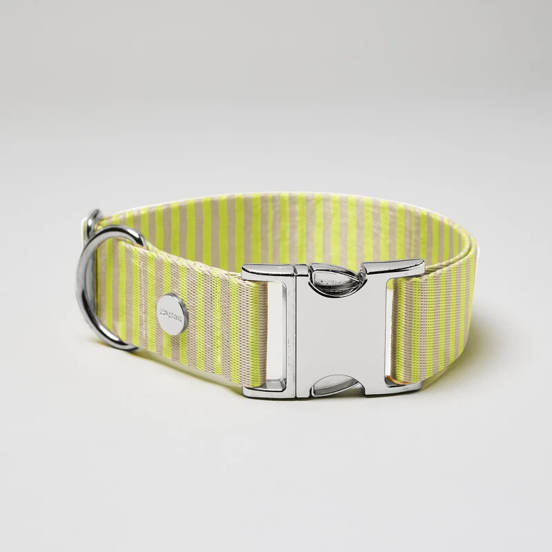 Welpenhalsband SUNNY