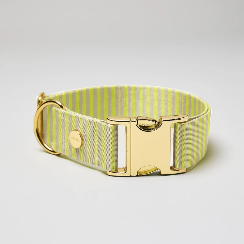 Welpenhalsband SUNNY