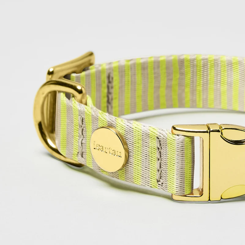 Welpenhalsband SUNNY