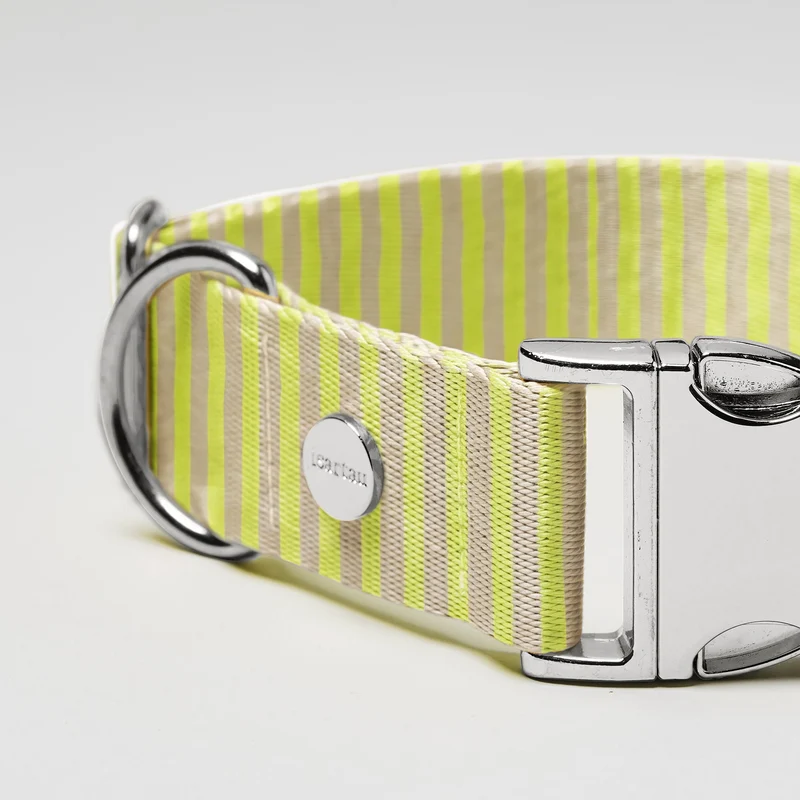Welpenhalsband SUNNY