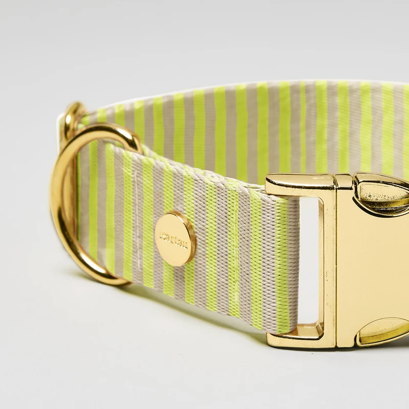Welpenhalsband SUNNY