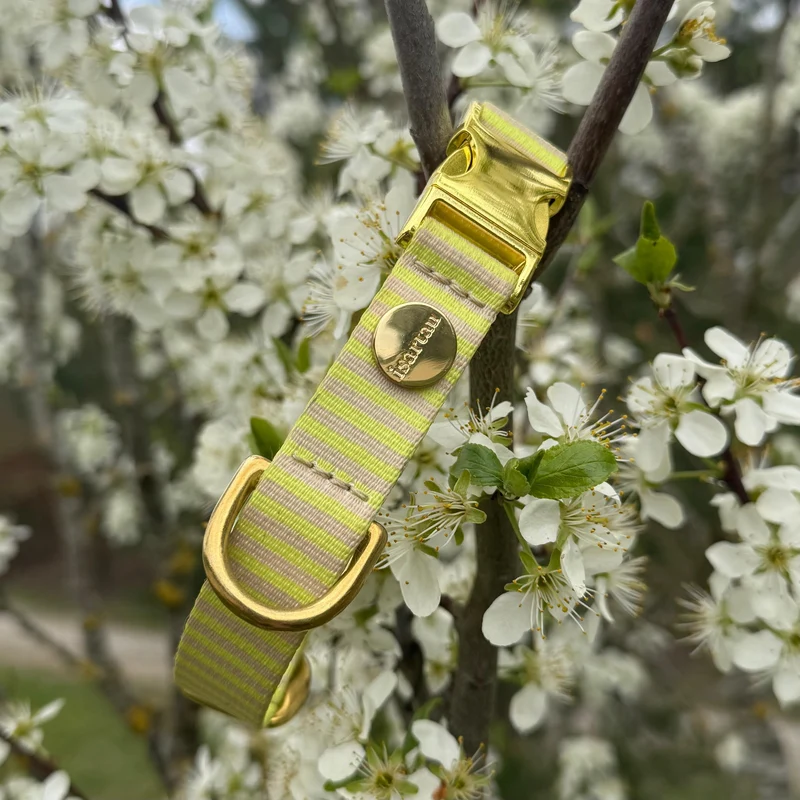 Welpenhalsband SUNNY