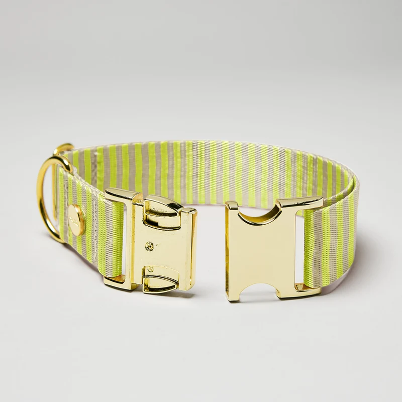 Welpenhalsband SUNNY