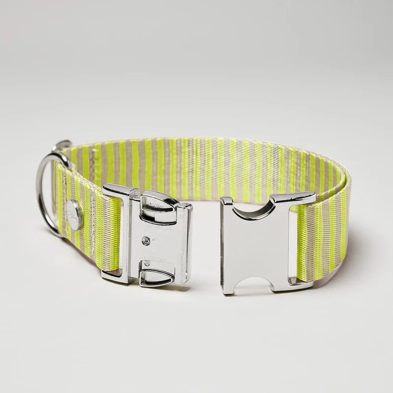 Welpenhalsband SUNNY