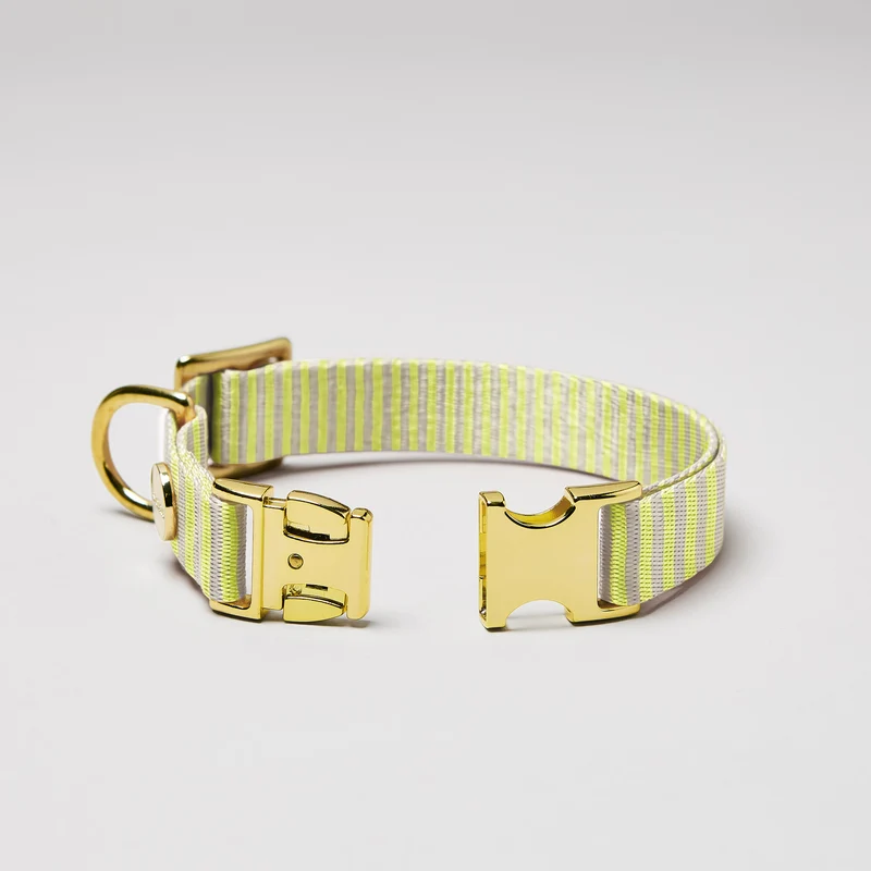 Welpenhalsband SUNNY