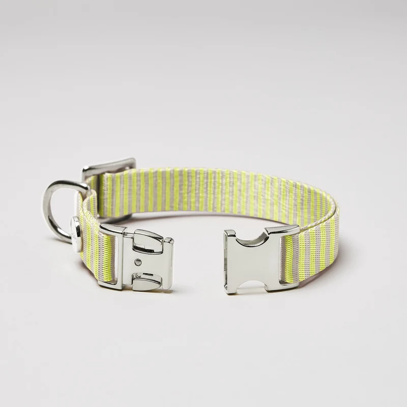Welpenhalsband SUNNY
