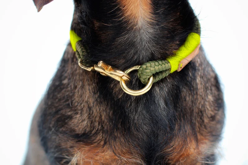 Festes Halsband Olive Grove NEONGELB