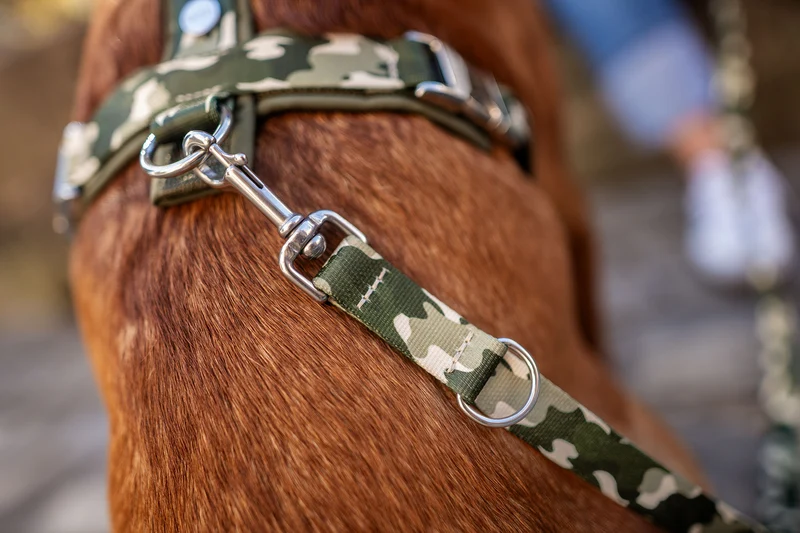 Hundegeschirr ENTDECKER