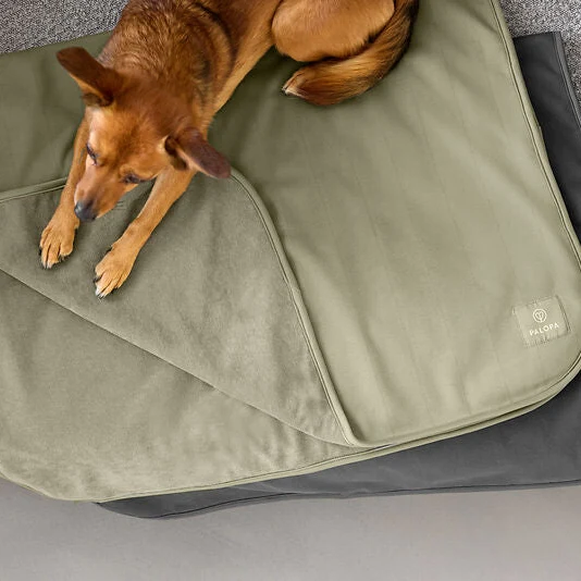 Hundedecke Schutzmatte Benti Olive