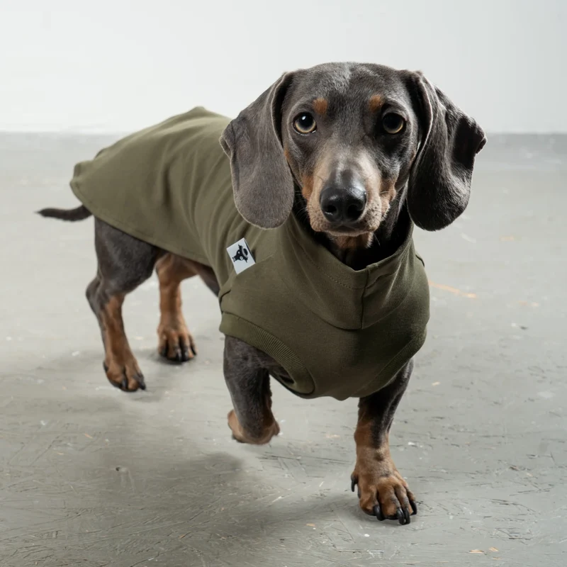 Cotton Shirt für Dackel Dark Olive