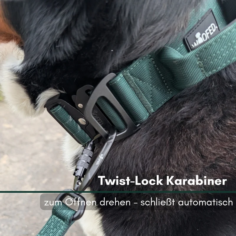 Nylon Pro Führleine Dark Green