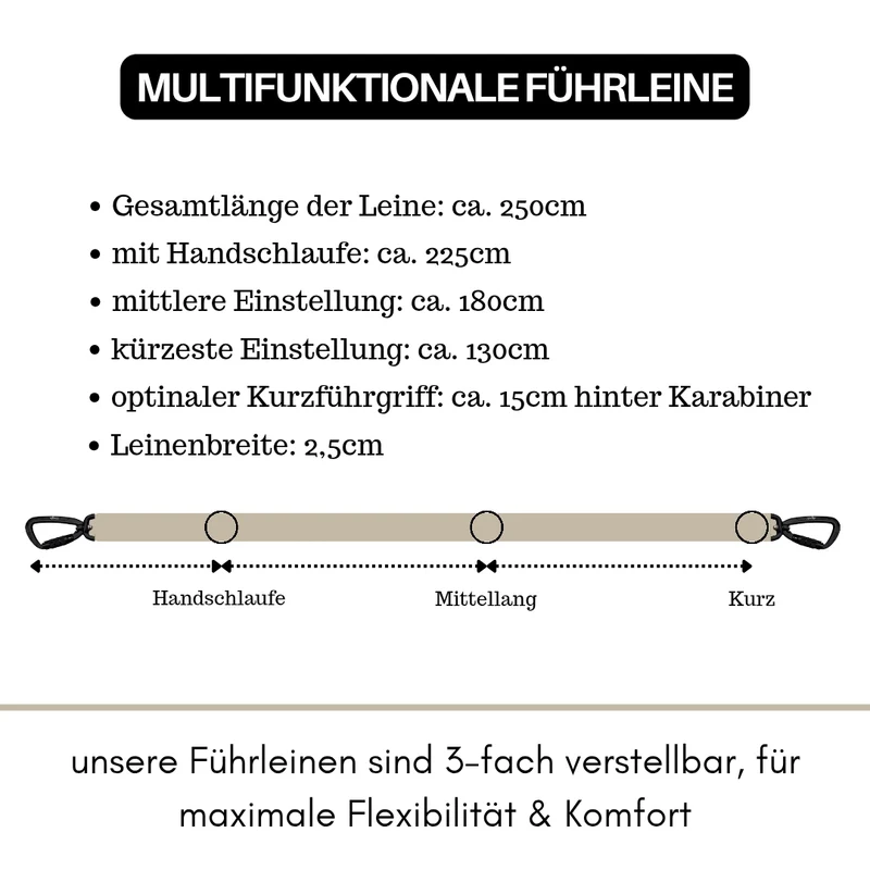 Nylon Pro Führleine Desert Tan