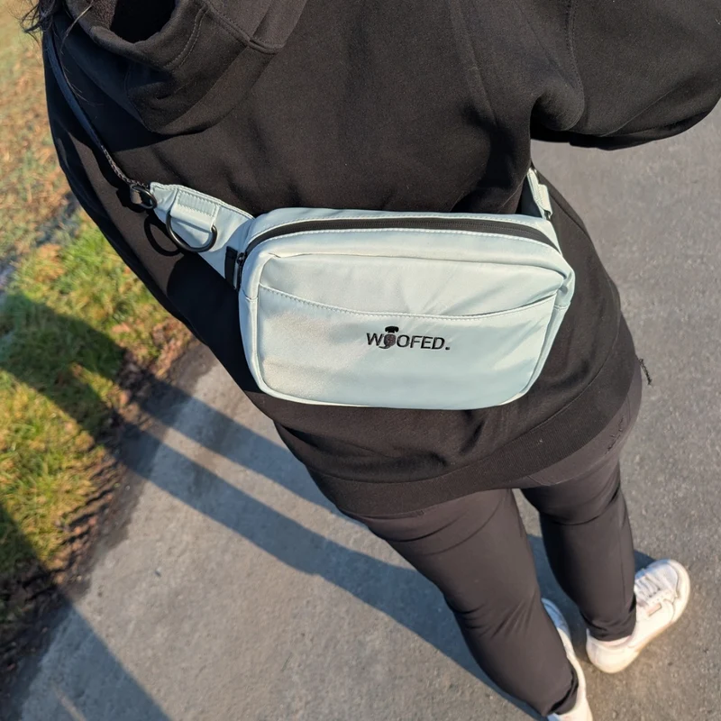 Multifunktionale Gassitasche - 2 in 1 Bauchtasche & Schultertasche Sage