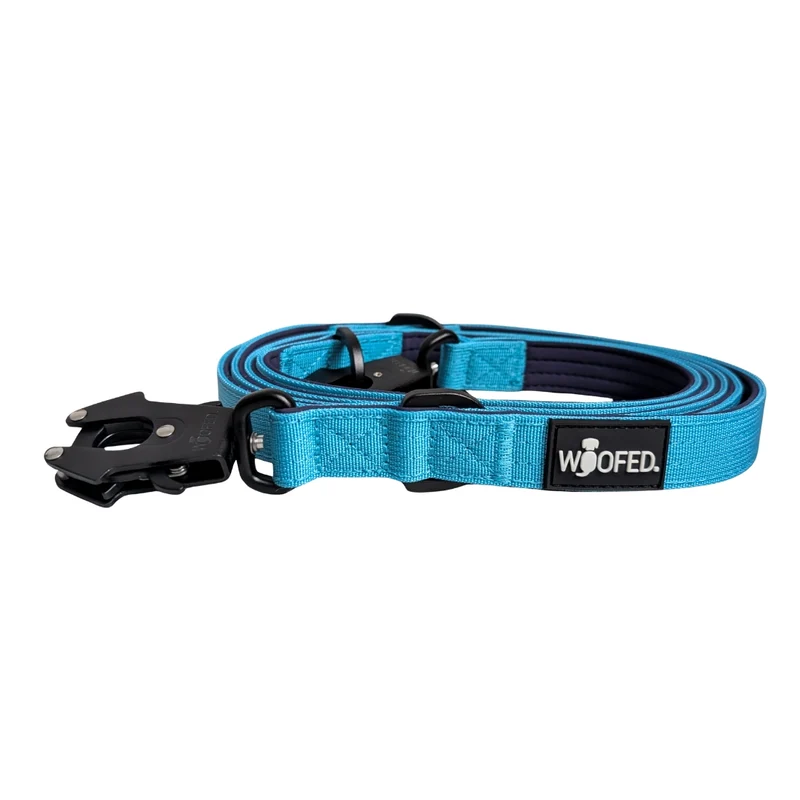 Nylon Tactical Führleine Arctic Sky