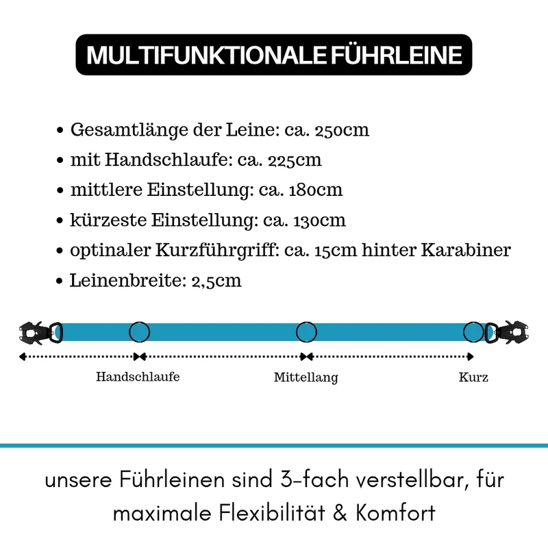 Nylon Tactical Führleine Arctic Sky