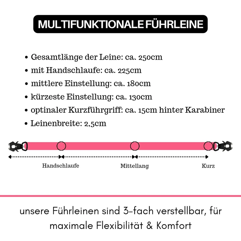 Nylon Tactical Führleine Pink Bloom