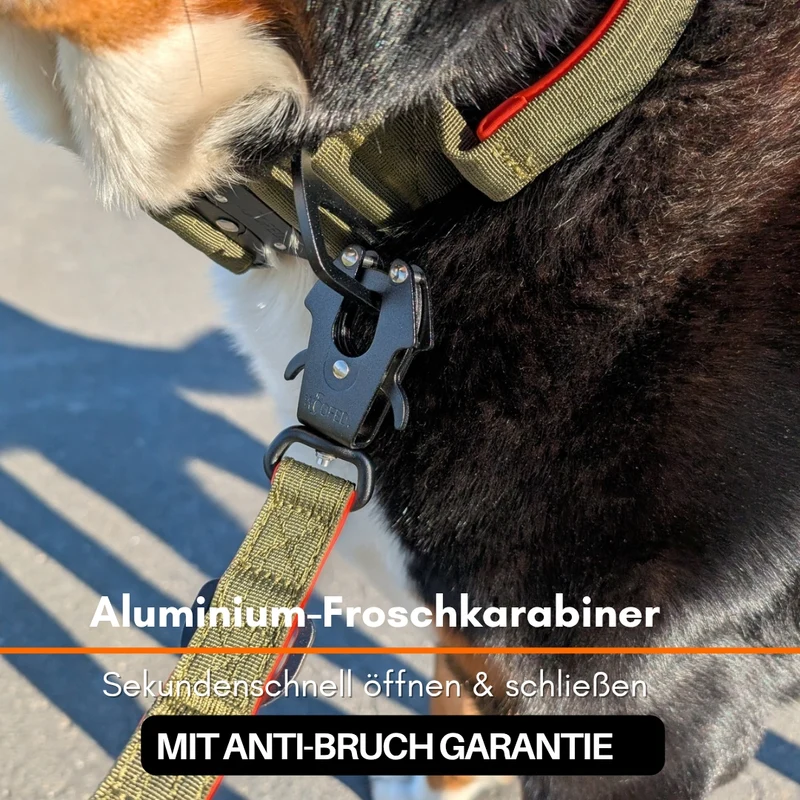 Nylon Tactical Führleine Hunter Glow